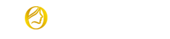  https://shop.dtftsolutions.com//storage/photos/1/white-logo.png 